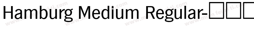 Hamburg Medium Regular字体转换